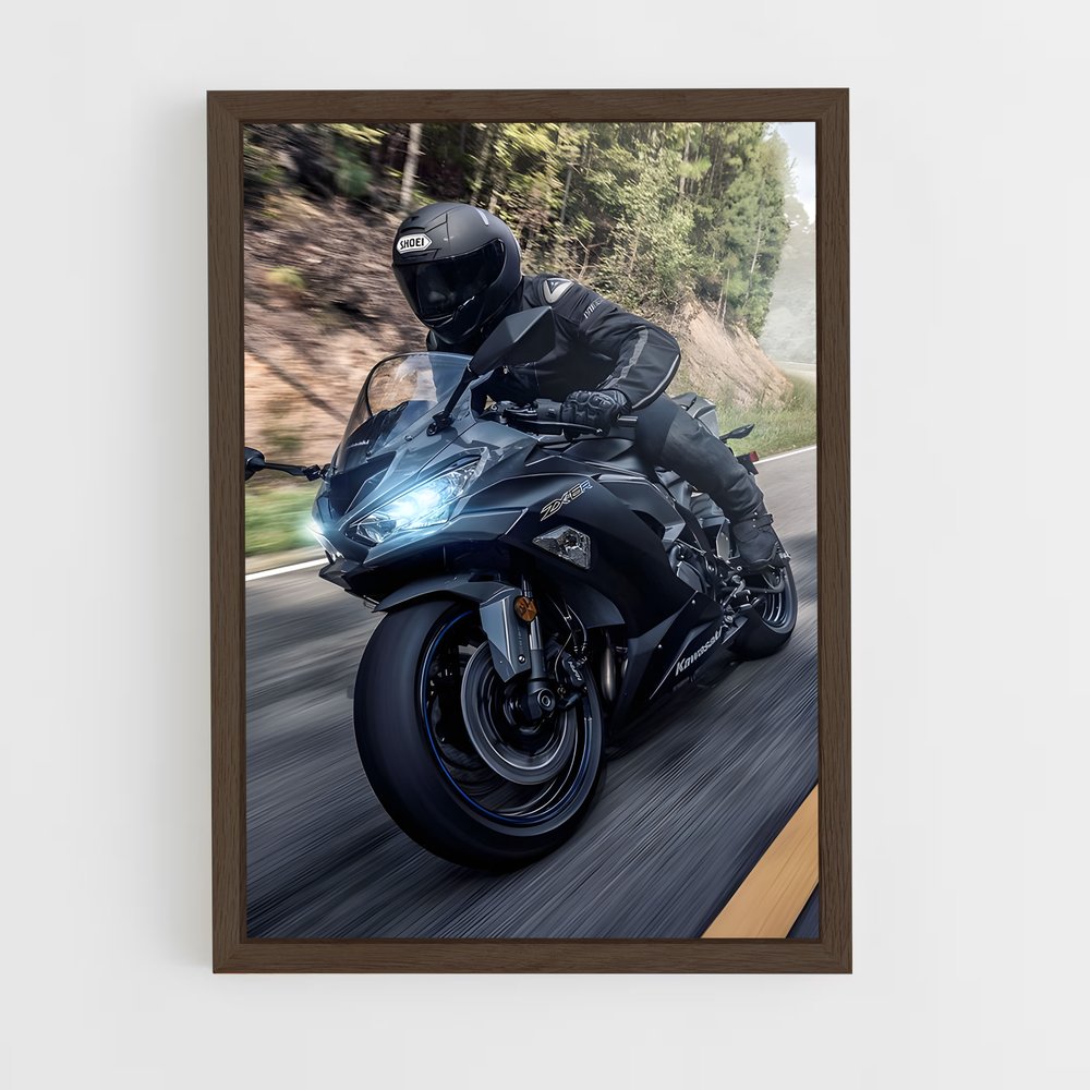 Poster envoûtant Ninja zx-r (vue 5)